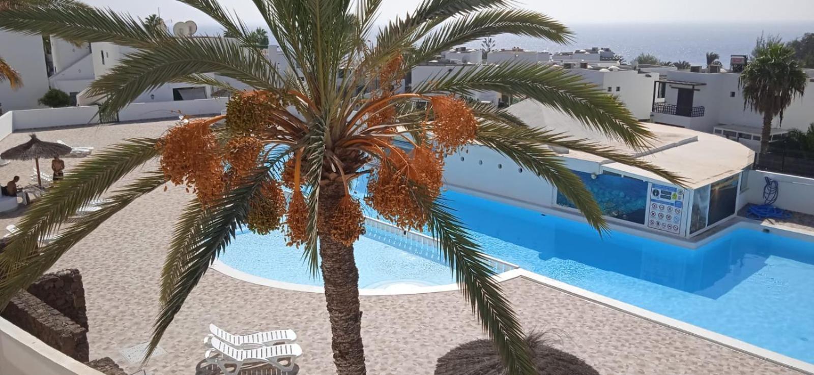Blue View Hermoso Apartamento Remodelado Ubicacion Ideal Costa Teguise Exterior photo